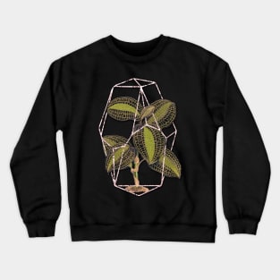 Jewel orchid Geometric terrarium Crewneck Sweatshirt